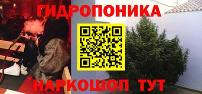 гашик Нарткала