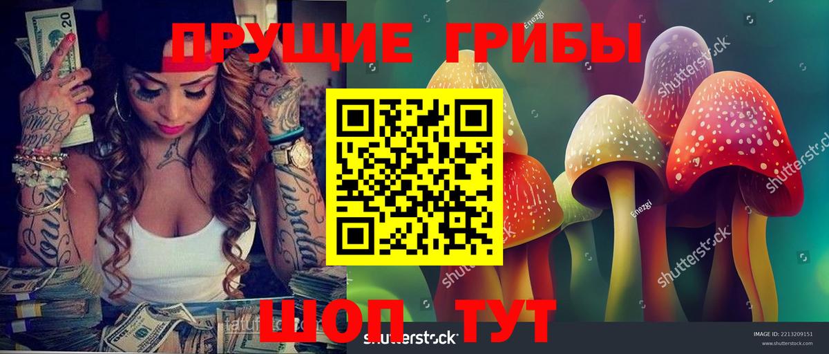 Торжок  Псилоцибиновые грибы Psilocybine cubensis  Галлюциногенные грибы MAGIC MUSHROOMS  Вход с VPN 